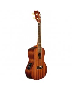 ukelele soprano electrificado
