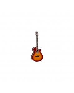 guitarra acustica amplificada